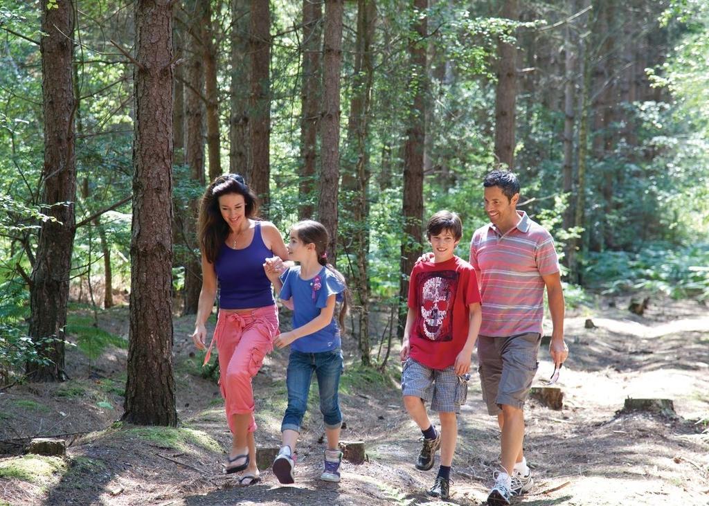 فندق فيرنداونفي  Oakdene Forest المظهر الخارجي الصورة